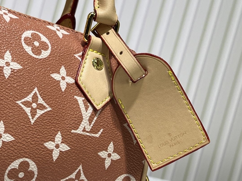 LV Speedy Bags